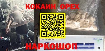 гидропоника Новодвинск
