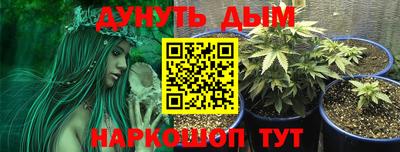 гидропоника Новодвинск