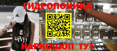 гидропоника Новодвинск