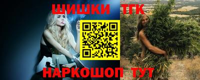 молекула духа Новозыбков