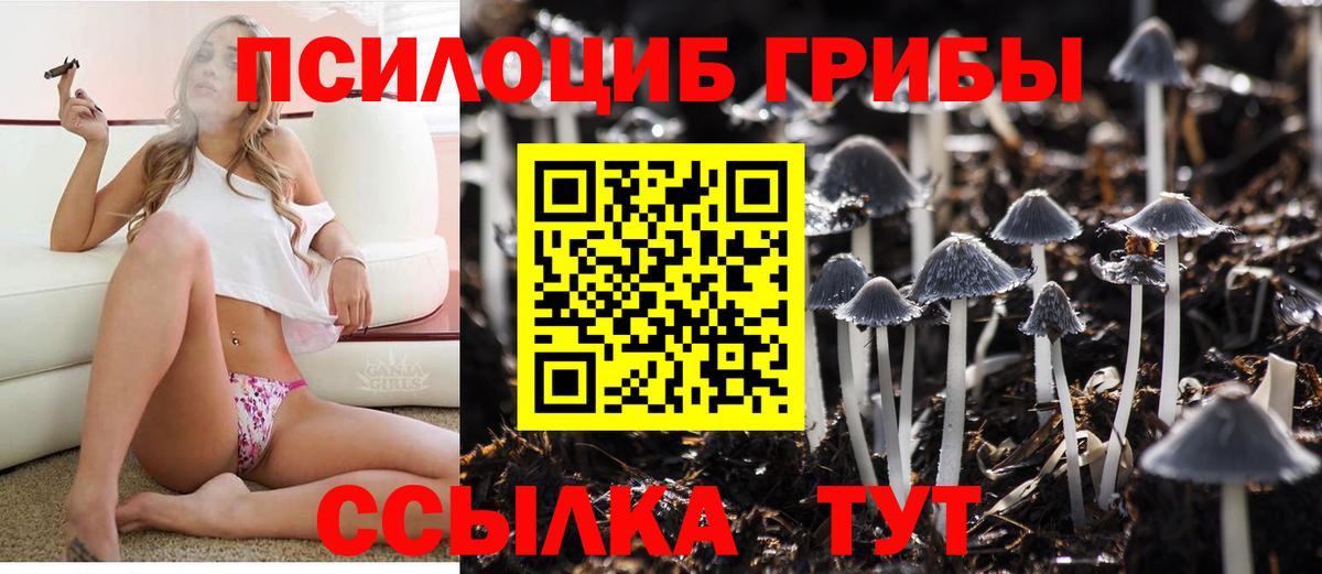 Псилоцибиновые грибы Psilocybine cubensis  Вход с VPN  наркота  Туймазы 