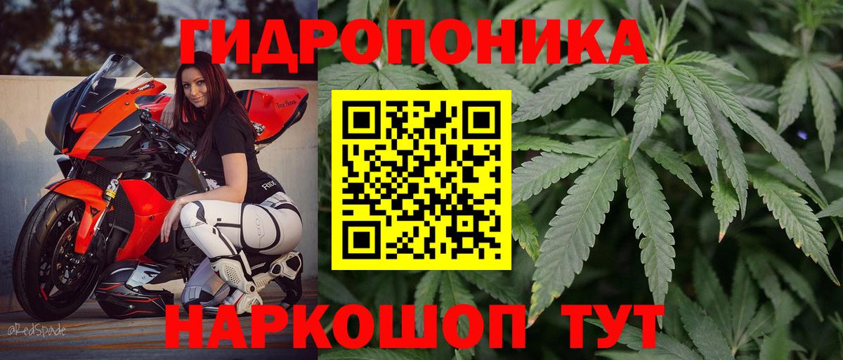 Канабис THC 21%  Марихуана семена  Туймазы  Канабис VHQ  Вход с VPN 